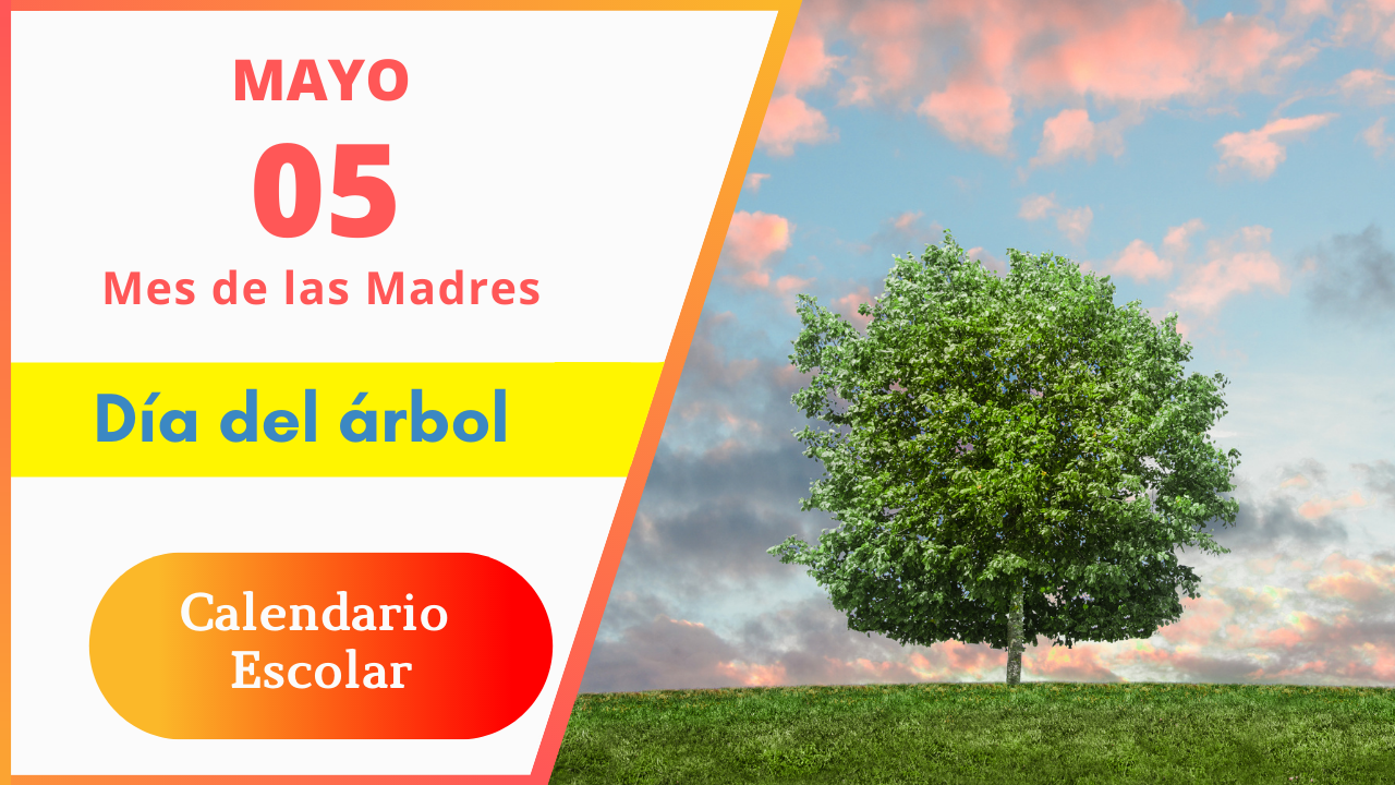 05 Día del árbol