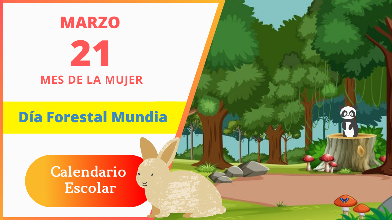 21 de Marzo – 🌳Día Forestal Mundial🌳